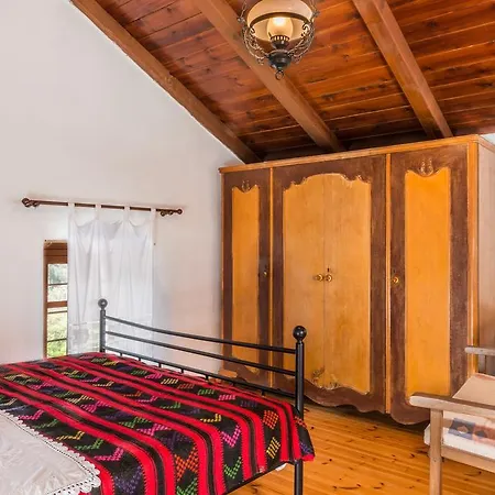 Traditional House